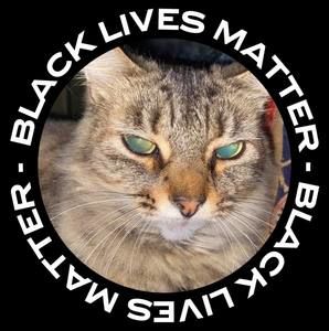 Meet your Posher, Lyla